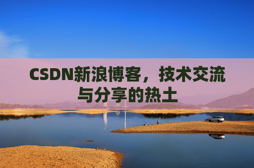 CSDN新浪博客，技术交流与分享的热土